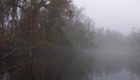 Picture for song 'Fog' by artist 'Paul Dixon'