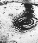 Picture for song 'The Rain' by artist 'Paul Emersun'