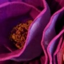 Picture for song 'Emotions' by artist 'Pawel Jurdziak'