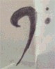 Picture for song 'Clef (Jer, Colin, Jer)' by artist 'Peculating Shepards'