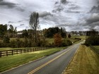 Picture for song 'Country Living' by artist 'Pelvic Ostentations'