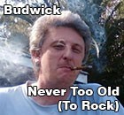 Picture for song 'Never Too Old (To Rock)' by artist 'Peter Guyenette'