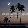 Picture for song 'Moonlit Summer Nights' by artist 'Phat Guy Productions'
