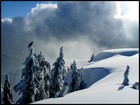 Picture for song 'Winter Lullaby' by artist 'Piano Soulos'