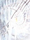 Picture for song 'Out Of An Icicle Dream' by artist 'Piece Of Art'