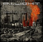 Picture for song 'Doomsday' by artist 'P I Light'