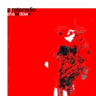 Picture for song 'shakedown' by artist 'pirate radio (UK)'
