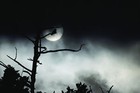 Picture for song 'The Shrouded Moon' by artist 'PJ Sky'