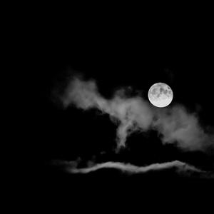 Picture for song 'Beacon' by artist 'Pre Polar'