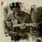 Picture for song 'Fly Away' by artist 'PricetAGmusic'