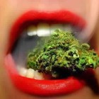 Picture for song 'Purple Piff (Collab wLouie Gray) Free D/L' by artist 'Primus Beats'