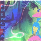 Picture for song 'PRINCESA-sentire mx2' by artist 'PRINCESA x Max'