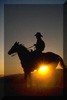 Picture for song 'Texas Cowboy' by artist 'Project 64'