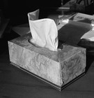 Picture for song 'where in the f*** is my tissue' by artist 'psychedelic meled'