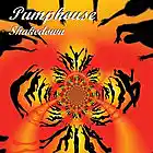 Picture for song 'Shakedown' by artist 'Pumphouse'