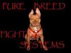 Picture for song 'THE SLAMMER' by artist 'PURE BREED INSTRUMENTALS'