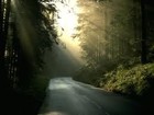 Picture for song 'MORNING' by artist 'Que Beats'