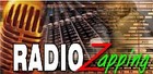 Picture for song 'Revers' by artist 'radiozapping'