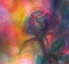 Picture for song 'late night brandy' by artist 'Rainer Neumann'