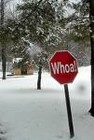 Picture for song 'Whoa' by artist 'Rakeem Andre'