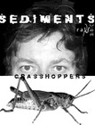 Picture for song 'grasshoppers' by artist 'ralf (AU)'