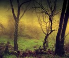 Picture for song 'The Ballad And The Tempest' by artist 'RavenTales'