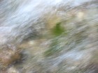 Picture for song 'Sea Floor' by artist 'Red Alien'