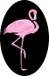 Picture for song 'Flamingo' by artist 'Rex Reynolds'