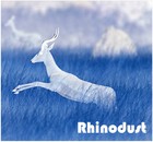 Picture for song 'Final Exposure' by artist 'Rhinodust (DEC)'