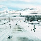 Picture for song 'Consumption' by artist 'Richele Kuhlmann'