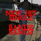 Picture for song 'BANDZ BANDZ' by artist 'RICHIE RICH MO3'