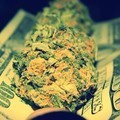 Picture for song 'Roll dat dope up "BANGER"' by artist 'Rico50kbeats'