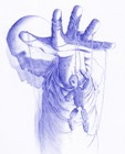Picture for song '0103-CREATION' by artist 'Rik King'