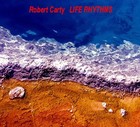 Picture for song 'Spiraling In' by artist 'Robert Carty'