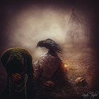 Picture for song 'A SLOW RAGE' by artist 'ROBERT M LISANTI'