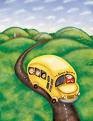 Picture for song 'Field Trip (2007)' by artist 'Robin And The Giant'