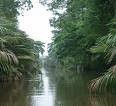 Picture for song '#54- Shady River (1984)' by artist 'Rob Lincoln'