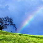 Picture for song 'Roy G. Biv' by artist 'Rock On Songs'