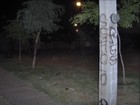 Picture for song 'got love?' by artist 'rojo hpp'