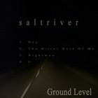 Picture for song 'The Bitter Half Of Me' by artist 'Saltriver'