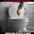 Picture for song 'What I Need' by artist 'Saltriver'