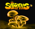 Picture for song 'Love Triangle' by artist 'Sassafras Drifters'