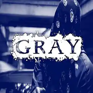 Picture for song 'Gray 145 BPM Prod Schiri Beats' by artist 'Schiri Beats'