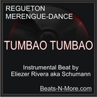 Picture for song 'TUMBA'O TUMBA'O (Instrumental Beat)' by artist 'Schumann Beats'