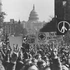 Picture for song 'Bullets and Flowers' by artist 'Scuzzo'