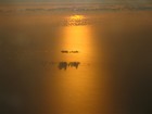 Picture for song 'SMOOTH EXPRESS' by artist 'SEA BREZZE'