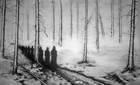 Picture for song 'Spite' by artist 'Selbst-Morder'