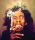 Picture for song 'Im Still Paper Chasin' by artist 'SGC4EVA'