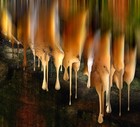 Picture for song 'Cry' by artist 'Shay Dillon'