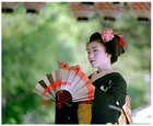 Picture for song 'Asian Rain' by artist 'Shon Monolyth'